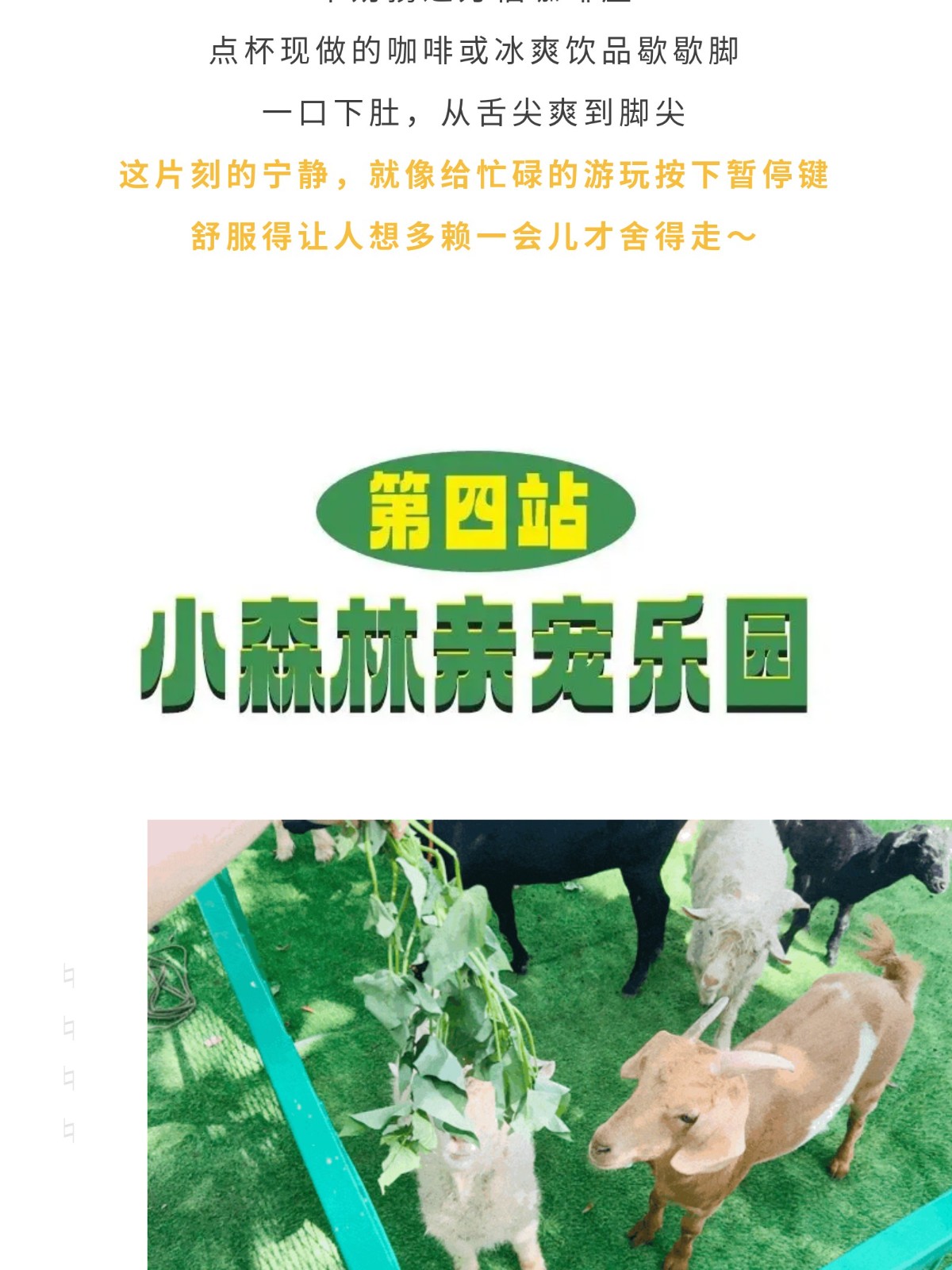 show_644989967_1756609425281_slice_15.jpg show_644989967_1756609425281_slice_15.jpg